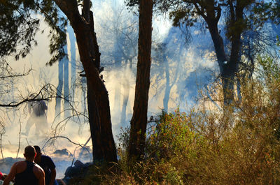 Tourists on tree trunk