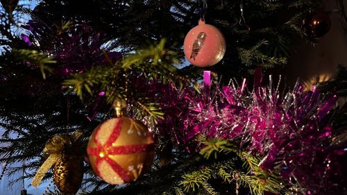 Close-up of christmas tree