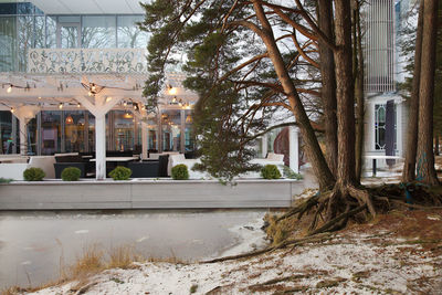 Trees and buildings by street in city