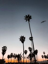 Low angle view of silhouette palm trees against sky during sunset
