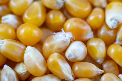 A handful of shiny popcorn kernels.