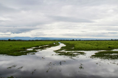 Scenic view of grassy field against cloudy sky