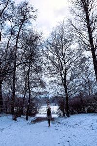 Silhouette of bare trees against sky