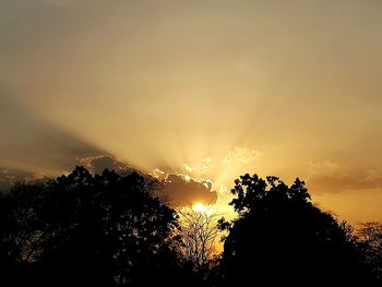 Silhouette trees against sky during sunset