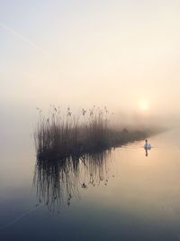 Scenic view of calm sea against sky