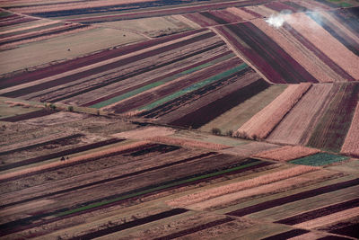 High angle view of agricultural field