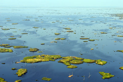 Scenic view of lake