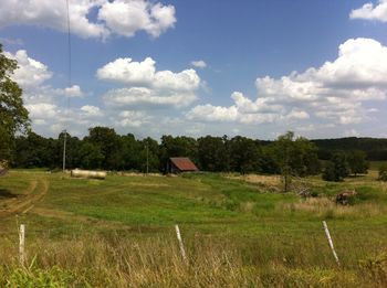 Scenic view of grassy field against sky