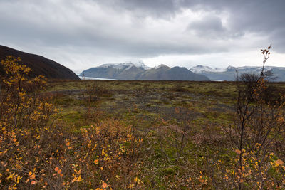 Scenic view of landscape against cloudy sky