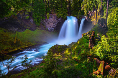 Scenic view of waterfall in forest