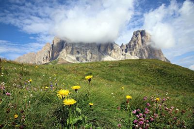 Scenic view of grassy field against cloudy sky