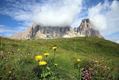 Scenic view of grassy field against cloudy sky