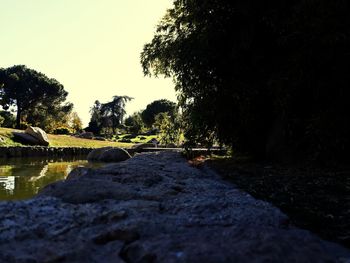 Scenic view of river by trees against sky