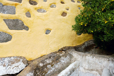 Footprints on sandy beach