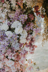 Close-up of pink cherry blossom tree