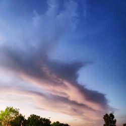 Low angle view of trees against cloudy sky