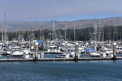 Sailboats moored at harbor against sky