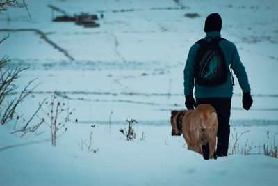 Rear view of man with dog on snow covered land