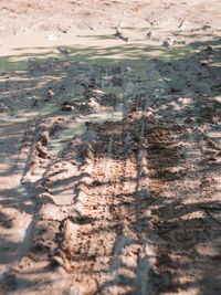 High angle view of river flowing through land