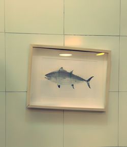 View of fish on wall