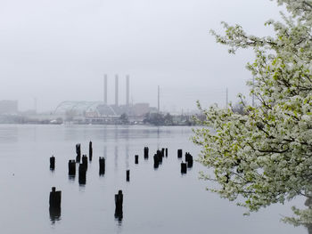 Scenic view of river by city against sky