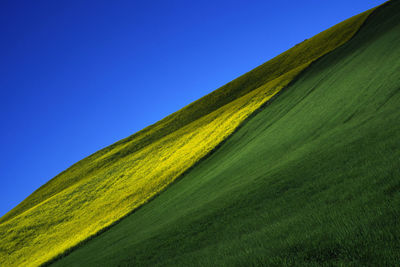 Low angle view of green field against clear sky