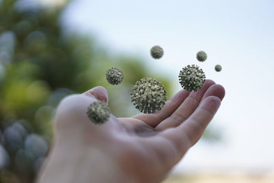 Close-up of hand holding plant