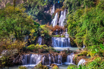 Waterfall in forest