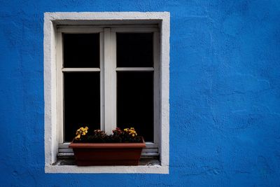 Potted plants on window sill of building