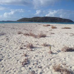 Scenic view of beach against sky