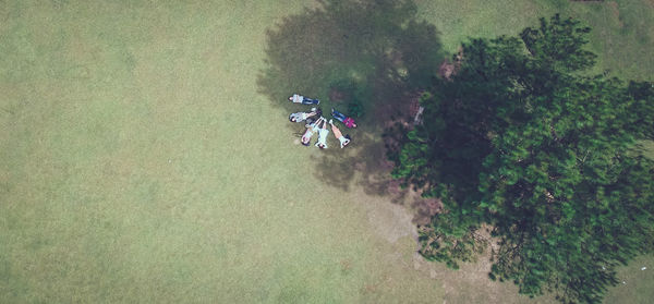 High angle view of people on road amidst trees