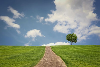 Scenic view of land against sky