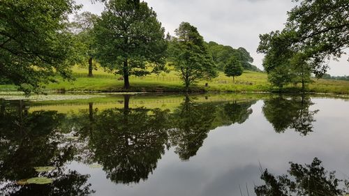 Reflection of trees in lake against sky