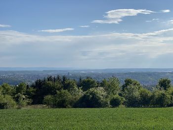 Scenic view of field against sky