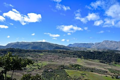 Scenic view of agricultural landscape against sky