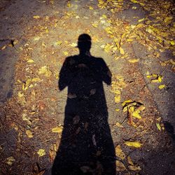 Shadow of man on field during autumn