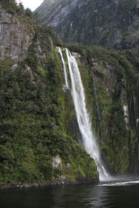 Scenic view of waterfall in forest