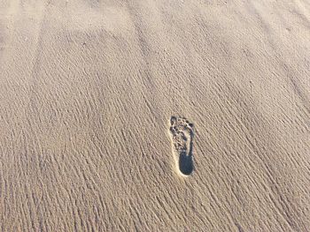 High angle view of footprints on sand