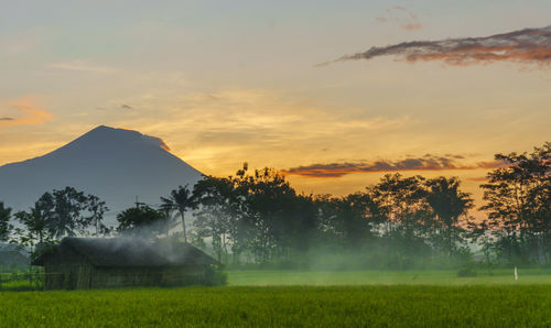 Scenic view of field against sky during sunset