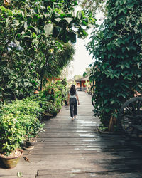 Rear view of young woman walking on footpath amidst trees