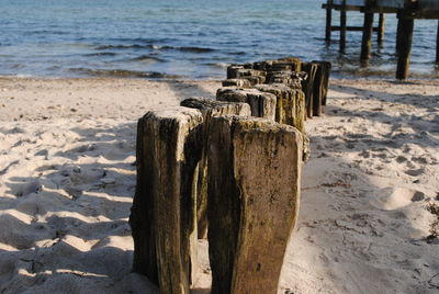 Wooden posts on beach