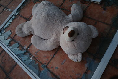 High angle view of stuffed toy on wall