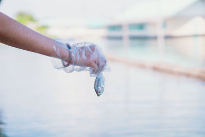 Close-up of hand holding sea water