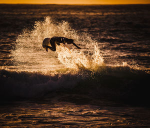 Side view of man surfboarding on sea during sunset