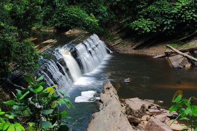 Scenic view of waterfall in forest