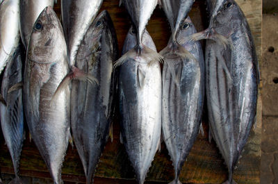 Close-up of fish for sale in market