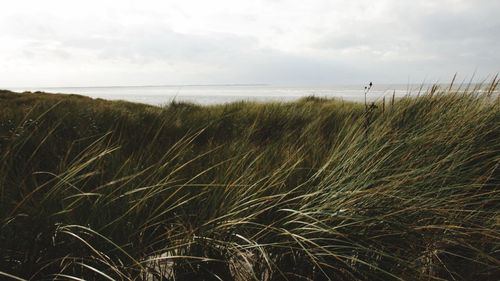 Scenic view of sea against cloudy sky