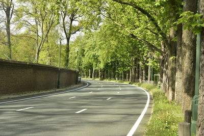 Empty road amidst trees in city