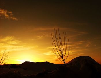 Scenic view of landscape at sunset