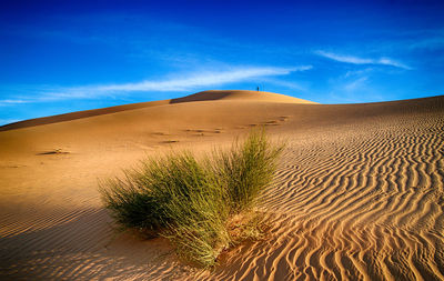 Sand dunes in desert against sky